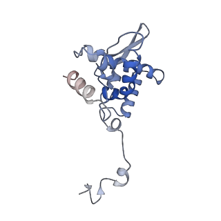 17062_8opj_Ax_v1-1
Global refinement of cubic assembly from truncated PVY coat protein with K176C mutation