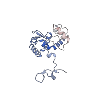 17062_8opj_Ba_v1-1
Global refinement of cubic assembly from truncated PVY coat protein with K176C mutation