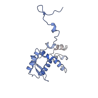 17062_8opj_Bb_v1-1
Global refinement of cubic assembly from truncated PVY coat protein with K176C mutation