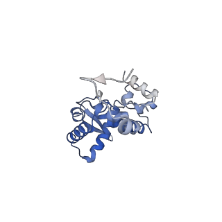 17062_8opj_Bd_v1-1
Global refinement of cubic assembly from truncated PVY coat protein with K176C mutation