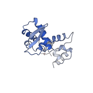 17062_8opj_Bf_v1-1
Global refinement of cubic assembly from truncated PVY coat protein with K176C mutation