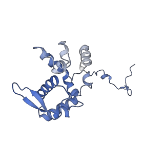 17062_8opj_Bj_v1-1
Global refinement of cubic assembly from truncated PVY coat protein with K176C mutation