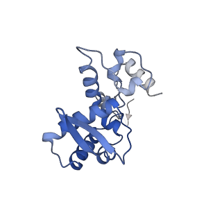 17062_8opj_Bk_v1-1
Global refinement of cubic assembly from truncated PVY coat protein with K176C mutation