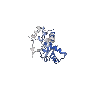 17062_8opj_Bl_v1-1
Global refinement of cubic assembly from truncated PVY coat protein with K176C mutation