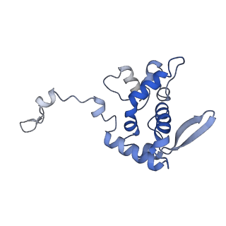 17062_8opj_Bn_v1-1
Global refinement of cubic assembly from truncated PVY coat protein with K176C mutation