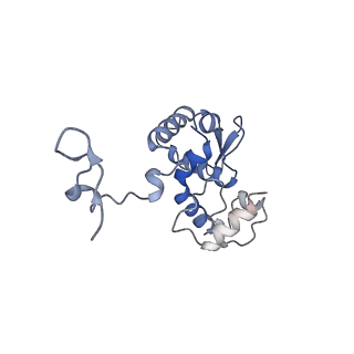 17062_8opj_Bo_v1-1
Global refinement of cubic assembly from truncated PVY coat protein with K176C mutation