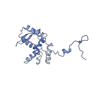 17062_8opj_Bp_v1-1
Global refinement of cubic assembly from truncated PVY coat protein with K176C mutation