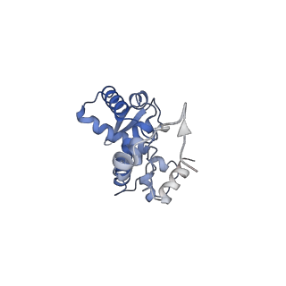 17062_8opj_Bs_v1-1
Global refinement of cubic assembly from truncated PVY coat protein with K176C mutation