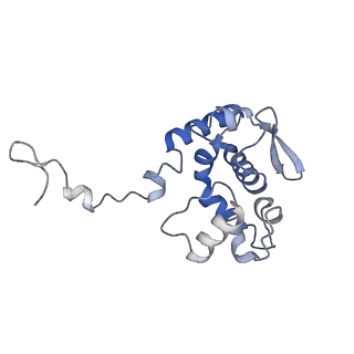 17062_8opj_Bv_v1-1
Global refinement of cubic assembly from truncated PVY coat protein with K176C mutation
