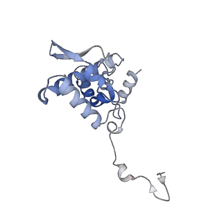 17063_8opk_Aa_v1-1
Local refinement of cubic assembly from truncated PVY coat protein with K176C mutation