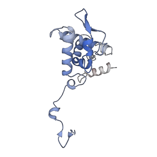 17063_8opk_Ab_v1-1
Local refinement of cubic assembly from truncated PVY coat protein with K176C mutation