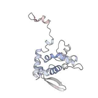 17063_8opk_Ae_v1-1
Local refinement of cubic assembly from truncated PVY coat protein with K176C mutation
