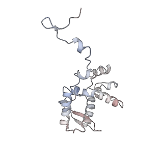 17063_8opk_Af_v1-1
Local refinement of cubic assembly from truncated PVY coat protein with K176C mutation