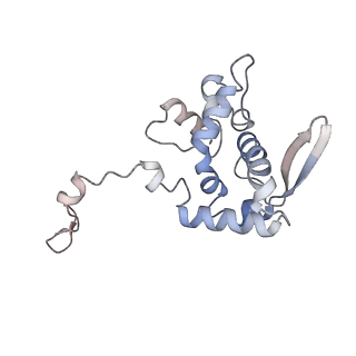 17063_8opk_Ag_v1-1
Local refinement of cubic assembly from truncated PVY coat protein with K176C mutation
