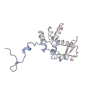 17063_8opk_Ah_v1-1
Local refinement of cubic assembly from truncated PVY coat protein with K176C mutation