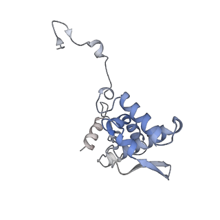 17063_8opk_Ai_v1-1
Local refinement of cubic assembly from truncated PVY coat protein with K176C mutation