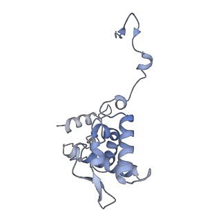 17063_8opk_Aj_v1-1
Local refinement of cubic assembly from truncated PVY coat protein with K176C mutation