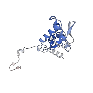 17063_8opk_Ak_v1-1
Local refinement of cubic assembly from truncated PVY coat protein with K176C mutation