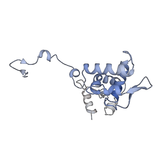 17063_8opk_Al_v1-1
Local refinement of cubic assembly from truncated PVY coat protein with K176C mutation