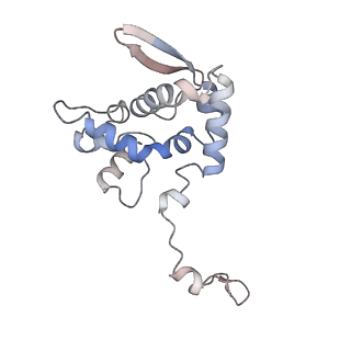 17063_8opk_Am_v1-1
Local refinement of cubic assembly from truncated PVY coat protein with K176C mutation