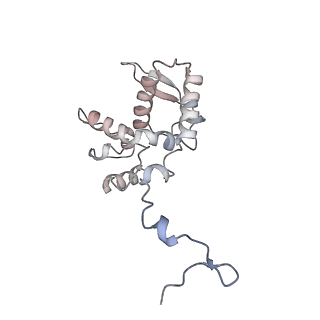 17063_8opk_An_v1-1
Local refinement of cubic assembly from truncated PVY coat protein with K176C mutation