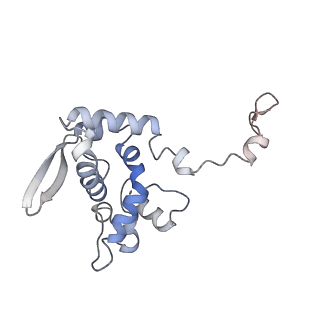 17063_8opk_Ao_v1-1
Local refinement of cubic assembly from truncated PVY coat protein with K176C mutation