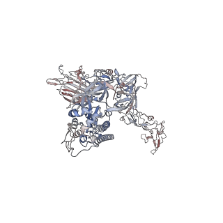 17076_8opm_B_v1-4
Human Coronavirus HKU1 spike glycoprotein in complex with an alpha2,8-linked 9-O-acetylated disialoside (closed state)