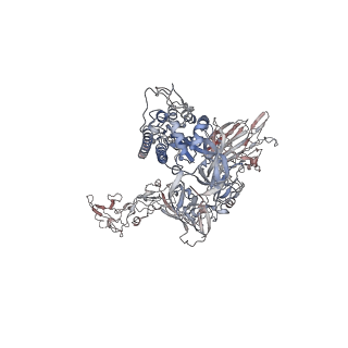 17076_8opm_C_v1-4
Human Coronavirus HKU1 spike glycoprotein in complex with an alpha2,8-linked 9-O-acetylated disialoside (closed state)