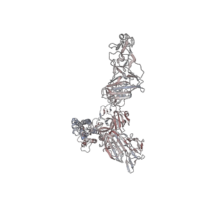 17077_8opn_A_v1-4
Human Coronavirus HKU1 spike glycoprotein in complex with an alpha2,8-linked 9-O-acetylated disialoside (1-up state)