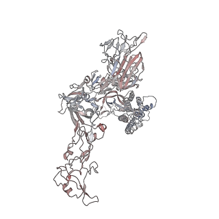 17077_8opn_B_v1-4
Human Coronavirus HKU1 spike glycoprotein in complex with an alpha2,8-linked 9-O-acetylated disialoside (1-up state)