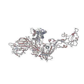 17077_8opn_C_v1-4
Human Coronavirus HKU1 spike glycoprotein in complex with an alpha2,8-linked 9-O-acetylated disialoside (1-up state)