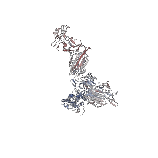 17078_8opo_C_v1-4
Human Coronavirus HKU1 spike glycoprotein in complex with an alpha2,8-linked 9-O-acetylated disialoside (3-up state)