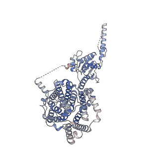 17085_8opq_A_v1-1
Structure of Human Solute Carrier 26 family member A6 (SLC26A6) anion transporter in an inward-facing state