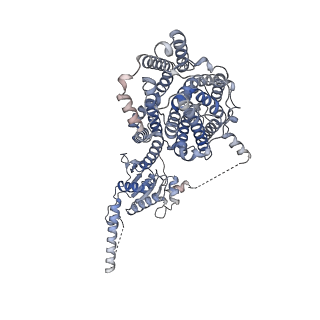 17085_8opq_B_v1-1
Structure of Human Solute Carrier 26 family member A6 (SLC26A6) anion transporter in an inward-facing state
