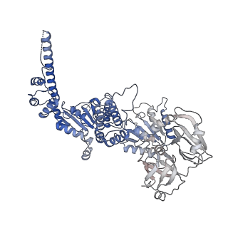 20149_6opc_A_v1-2
Cdc48 Hexamer in a complex with substrate and Shp1(Ubx Domain)