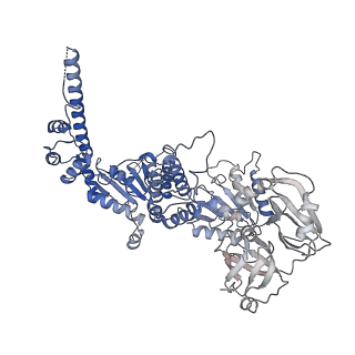 20149_6opc_A_v1-3
Cdc48 Hexamer in a complex with substrate and Shp1(Ubx Domain)