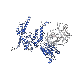 20149_6opc_B_v1-2
Cdc48 Hexamer in a complex with substrate and Shp1(Ubx Domain)