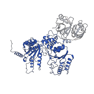 20149_6opc_C_v1-2
Cdc48 Hexamer in a complex with substrate and Shp1(Ubx Domain)