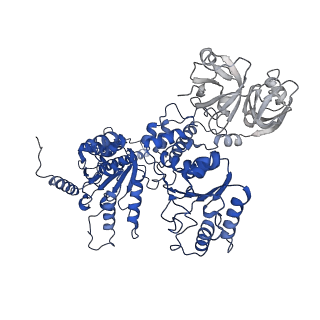 20149_6opc_C_v1-3
Cdc48 Hexamer in a complex with substrate and Shp1(Ubx Domain)