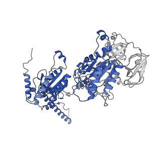 20149_6opc_D_v1-2
Cdc48 Hexamer in a complex with substrate and Shp1(Ubx Domain)