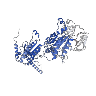 20149_6opc_D_v1-3
Cdc48 Hexamer in a complex with substrate and Shp1(Ubx Domain)