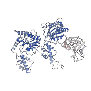 20149_6opc_E_v1-2
Cdc48 Hexamer in a complex with substrate and Shp1(Ubx Domain)