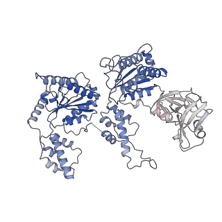 20149_6opc_E_v1-3
Cdc48 Hexamer in a complex with substrate and Shp1(Ubx Domain)