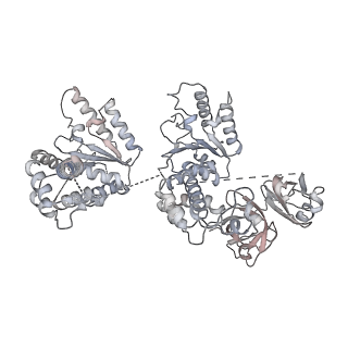 20149_6opc_F_v1-2
Cdc48 Hexamer in a complex with substrate and Shp1(Ubx Domain)