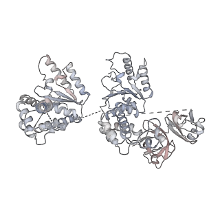 20149_6opc_F_v1-3
Cdc48 Hexamer in a complex with substrate and Shp1(Ubx Domain)