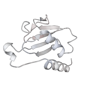 20149_6opc_Z_v1-3
Cdc48 Hexamer in a complex with substrate and Shp1(Ubx Domain)