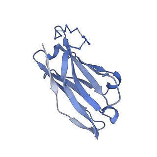 20151_6opo_H_v1-1
Symmetric model of CD4- and 17-bound B41 HIV-1 Env SOSIP in complex with DDM