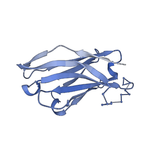 20151_6opo_O_v1-1
Symmetric model of CD4- and 17-bound B41 HIV-1 Env SOSIP in complex with DDM