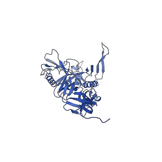 20152_6opp_D_v1-1
Asymmetric model of CD4- and 17-bound B41 HIV-1 Env SOSIP in complex with DDM