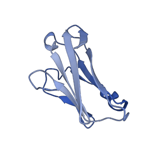 20152_6opp_F_v1-1
Asymmetric model of CD4- and 17-bound B41 HIV-1 Env SOSIP in complex with DDM